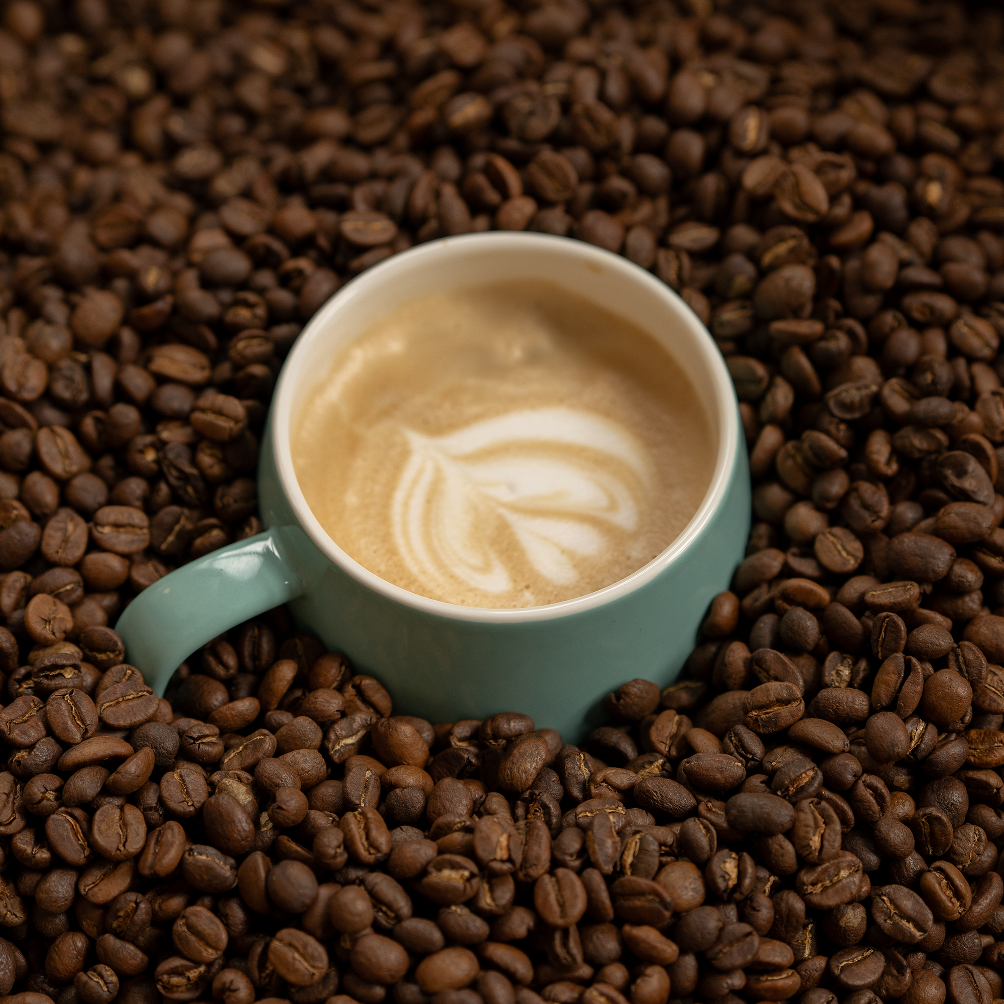 Coffee Processing Pt. 1