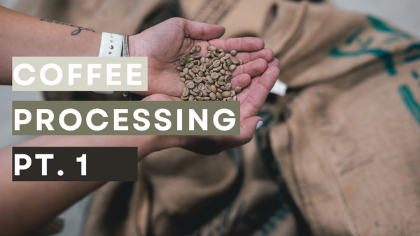 Coffee Processing Pt. 1