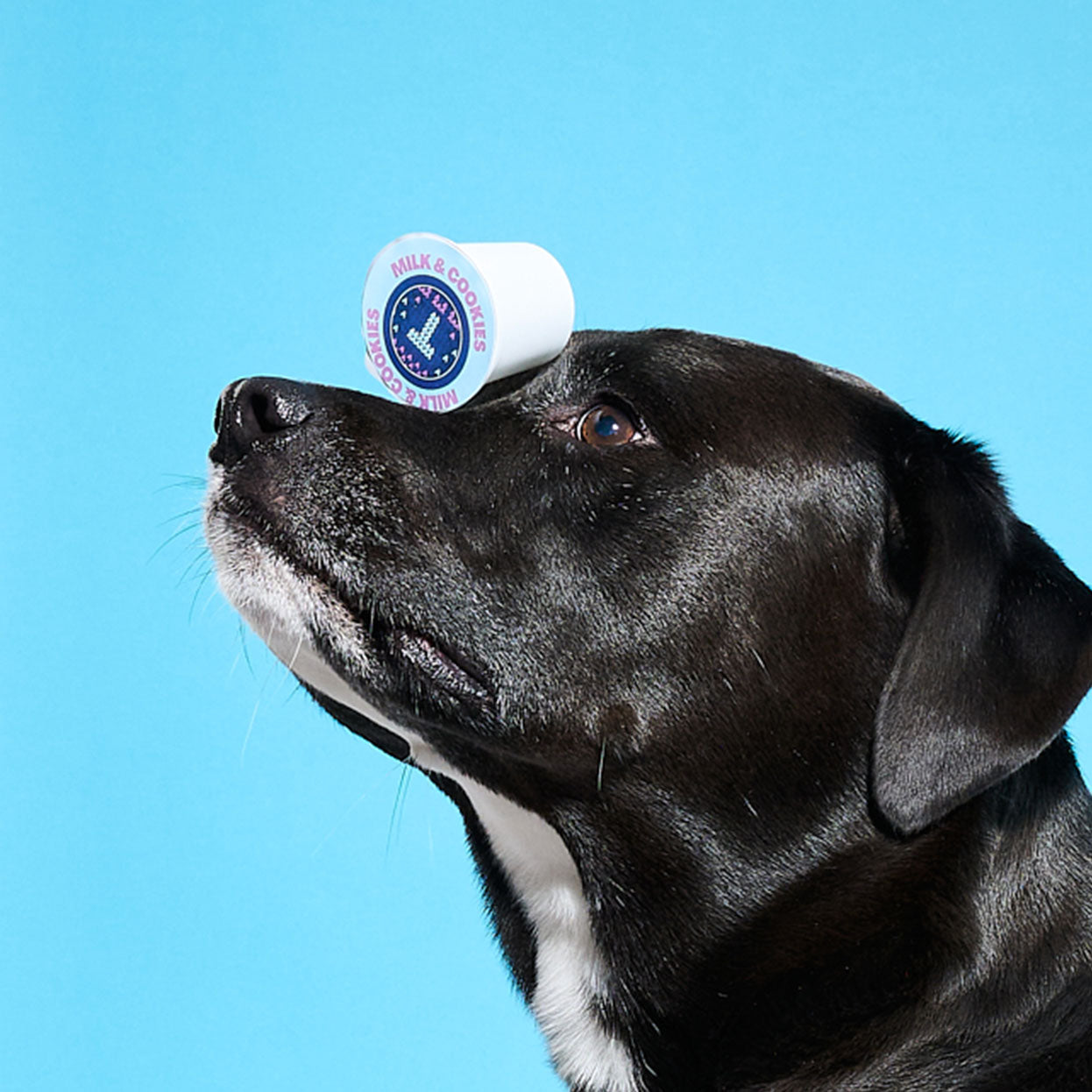 Milk & Cookies Holiday Blend Coffee Pods