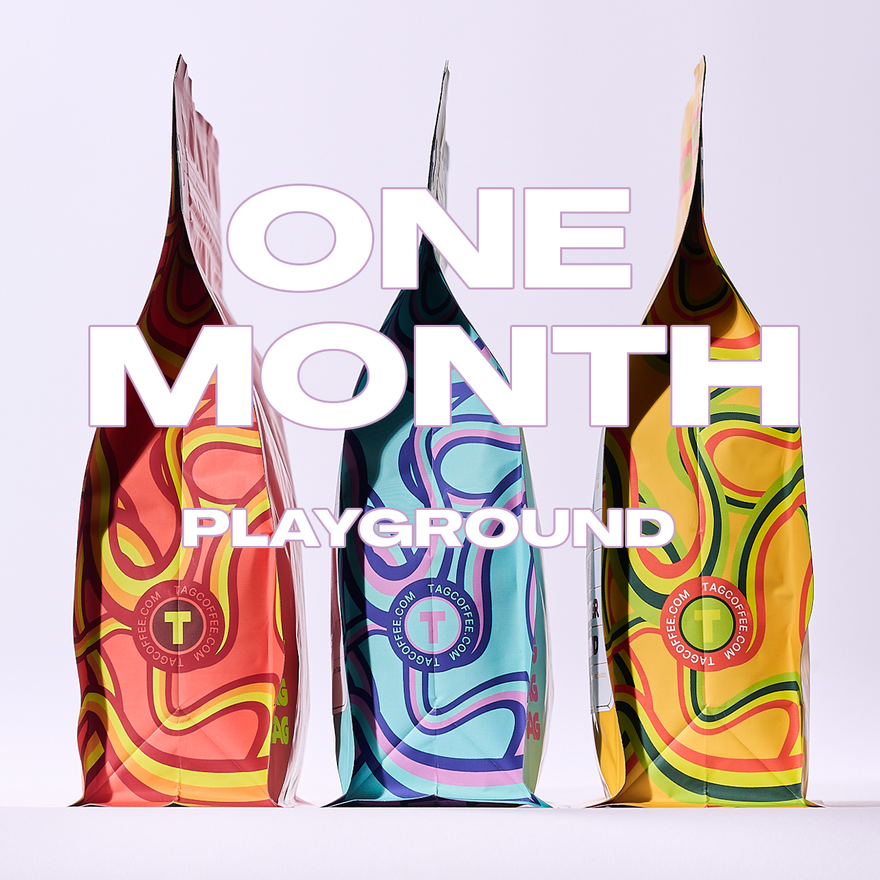 Gift 1 Month of Playground