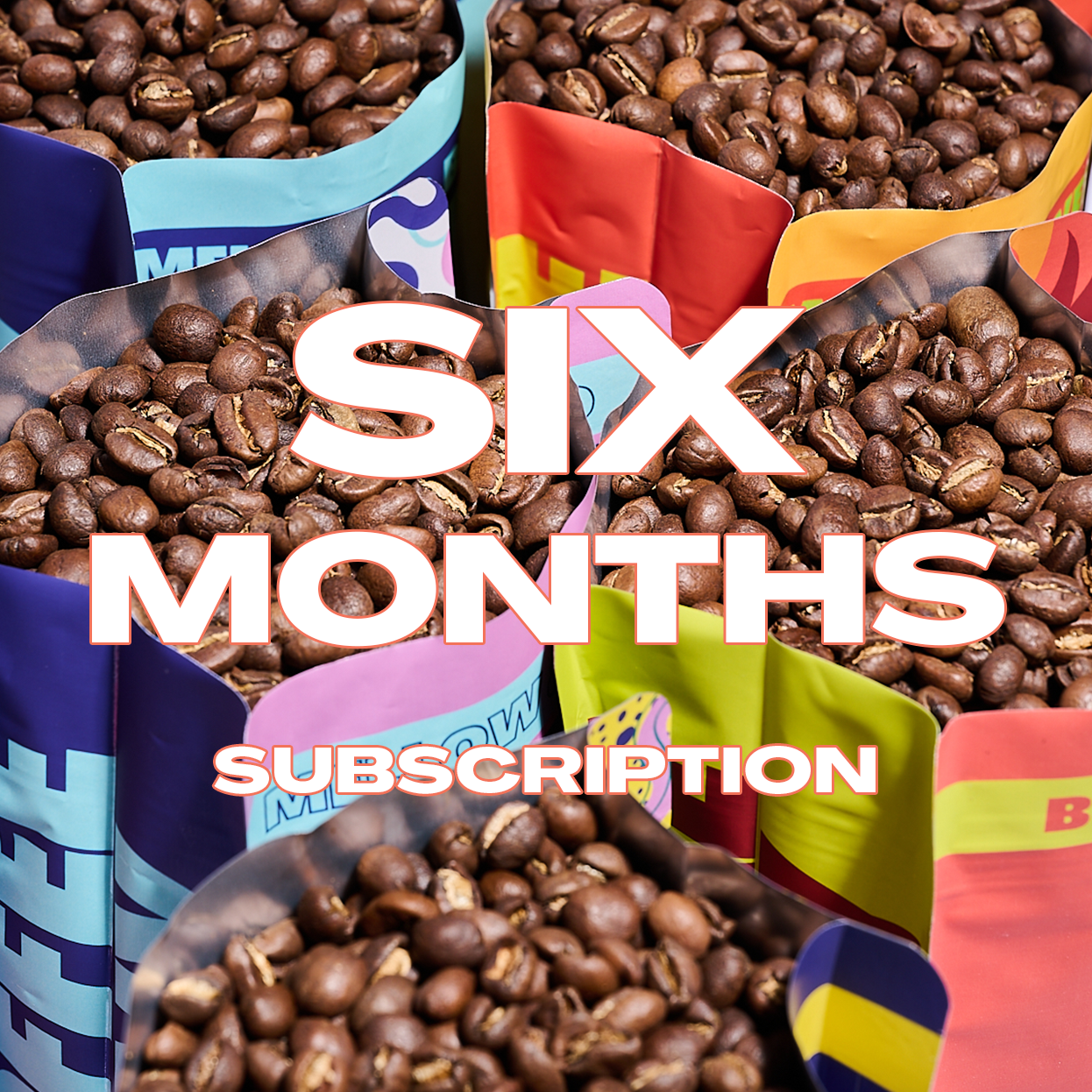 6 Month Gift Subscription