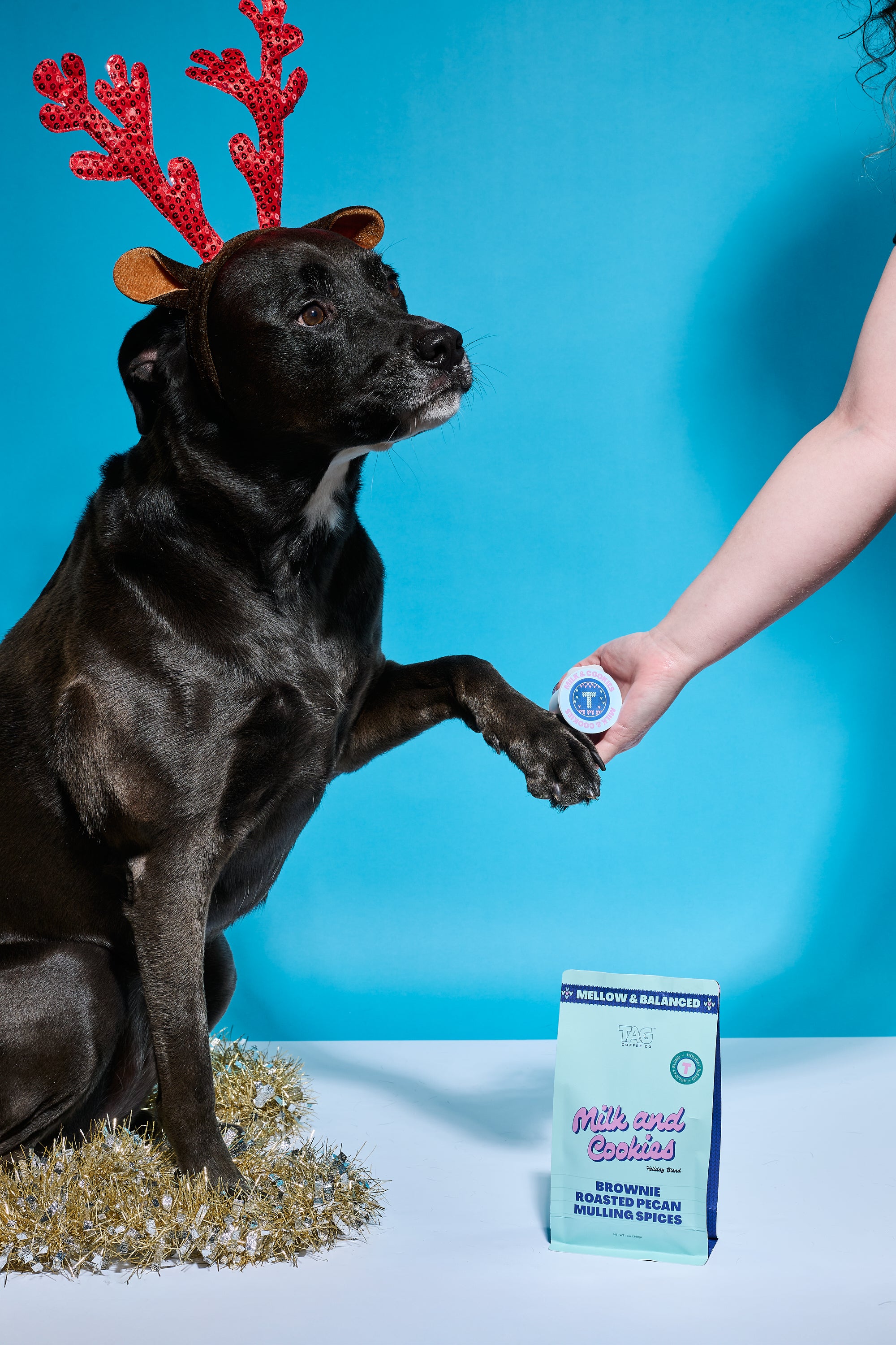 Milk & Cookies Holiday Blend Coffee Pods